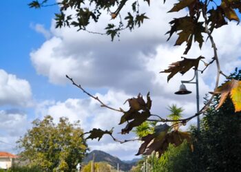 (Φωτ.: EUROKINISSI/Γιώργος Κονταρίνης)