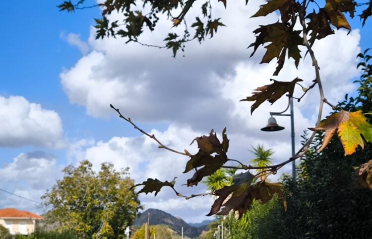 (Φωτ.: EUROKINISSI/Γιώργος Κονταρίνης)