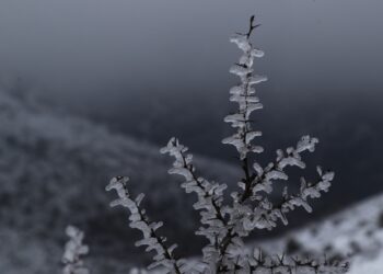 Χιονισμένη η Πάρνηθα την πρώτη ημέρα της άνοιξης (φωτ.: EUROKINISSI/Μάρκος Χουζούρης)
