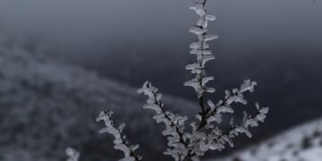 Χιονισμένη η Πάρνηθα την πρώτη ημέρα της άνοιξης (φωτ.: EUROKINISSI/Μάρκος Χουζούρης)