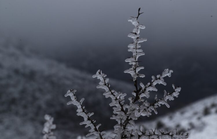 Χιονισμένη η Πάρνηθα την πρώτη ημέρα της άνοιξης (φωτ.: EUROKINISSI/Μάρκος Χουζούρης)