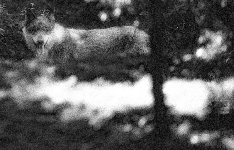 (Φωτ.: EUROKINISSI / Εικ.: Γεωργία Βορύλλα)