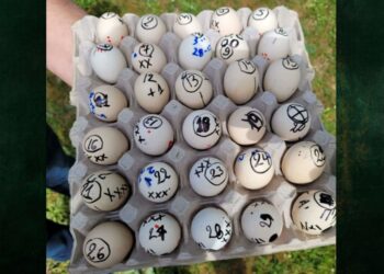 Αυγά έτοιμα για μάχη (φωτ.: facebook/Ποντιακός Πολιτιστικός Σύλλογος Μαυροβάτου «Το Καρς»)