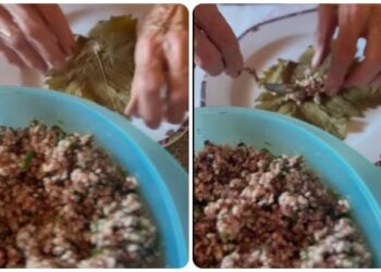 Με αμπελόφυλλο και χωρίς κρέας, τα γνωστά σαρμαδάκια γιαλατζί γιαλαντζί (πηγή: TikTok / Π.Ε.Ν. Ανατολικής Μ. & Θράκης)