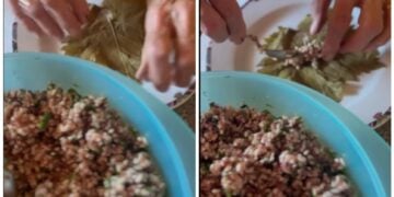 Με αμπελόφυλλο και χωρίς κρέας, τα γνωστά σαρμαδάκια γιαλατζί γιαλαντζί (πηγή: TikTok / Π.Ε.Ν. Ανατολικής Μ. & Θράκης)