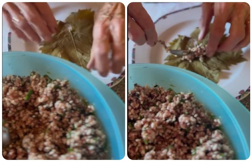 Με αμπελόφυλλο και χωρίς κρέας, τα γνωστά σαρμαδάκια γιαλατζί γιαλαντζί (πηγή: TikTok / Π.Ε.Ν. Ανατολικής Μ. & Θράκης)