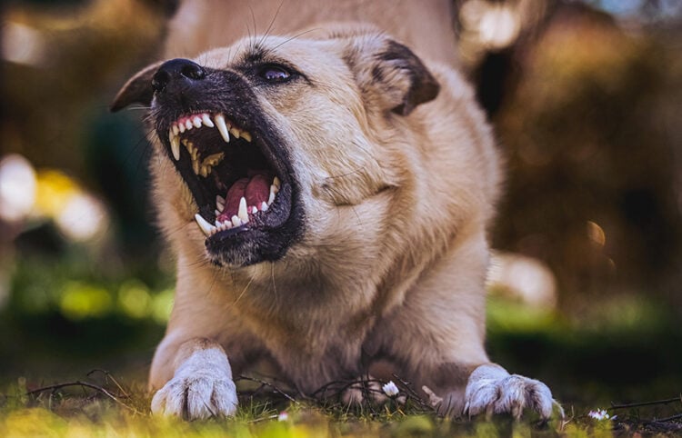 (Φωτ. αρχείου: pixabay.com)