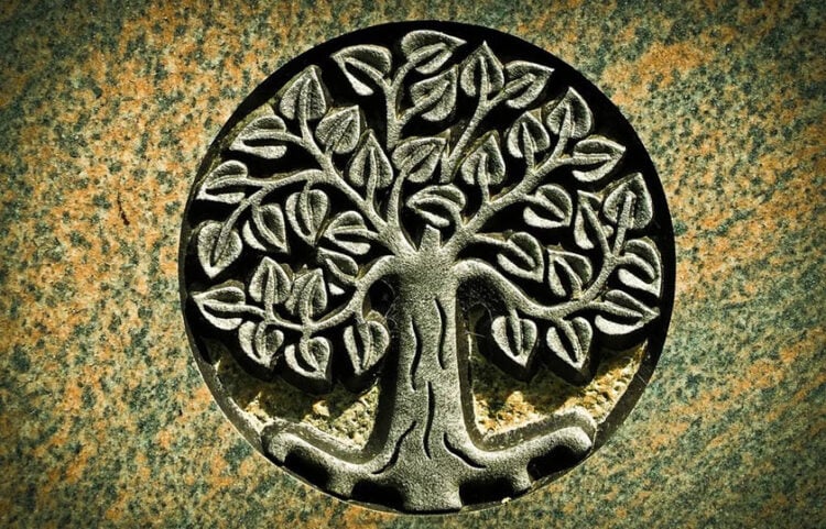 Το δέντρο της γνώσης, χαραγμένο σε επιτύμβια πλάκα (πηγή: getarchive.net)