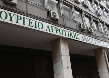 (Φωτ.: EUROKINISSI / Δανάη Δαυλοπούλου)