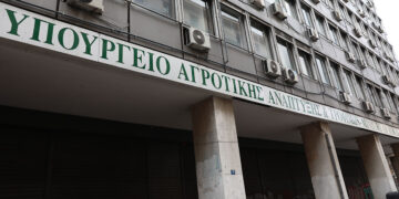 (Φωτ.: EUROKINISSI / Δανάη Δαυλοπούλου)