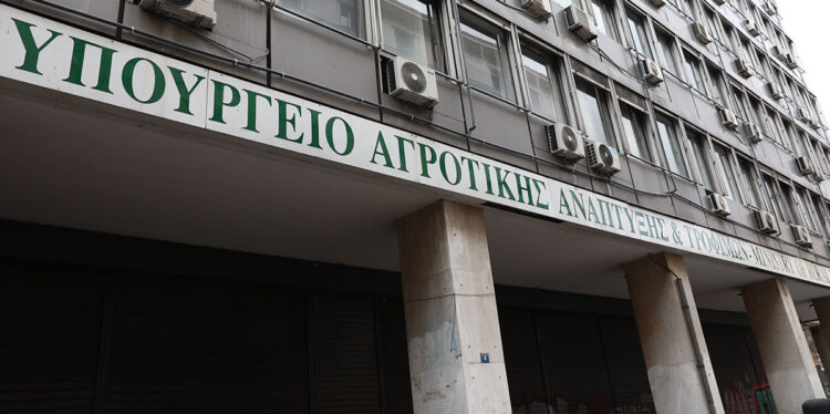 (Φωτ.: EUROKINISSI / Δανάη Δαυλοπούλου)