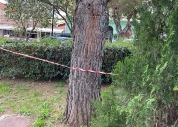 (Φωτ.: ekefalonia/ertnews.gr)