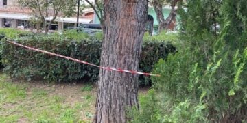 (Φωτ.: ekefalonia/ertnews.gr)