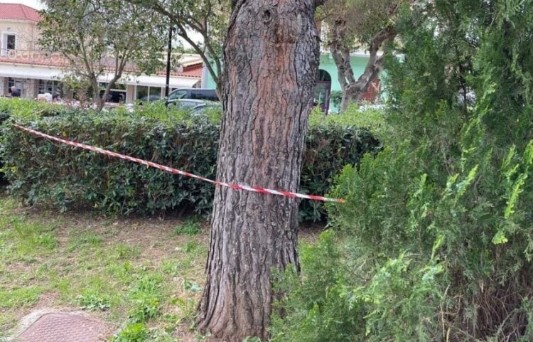 (Φωτ.: ekefalonia/ertnews.gr)