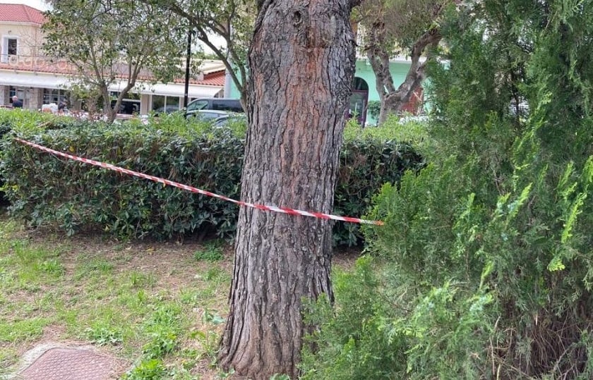 (Φωτ.: ekefalonia/ertnews.gr)