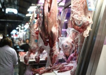 (Φωτ.: Σωτήρης Δημητρόπουλος/EUROKINISSI)