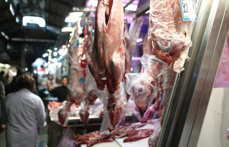 (Φωτ.: Σωτήρης Δημητρόπουλος/EUROKINISSI)