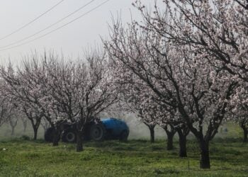 (Φωτ.: EUROKINISSI)