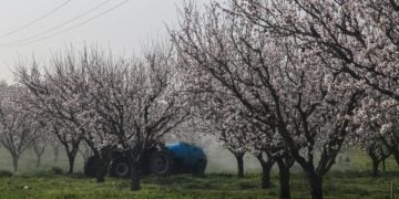 (Φωτ.: EUROKINISSI)