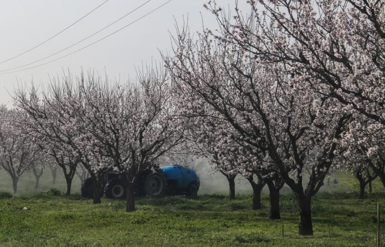 (Φωτ.: EUROKINISSI)