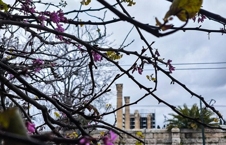 (Φωτ.: Γιώργος Κονταρίνης/EUROKINISSI)