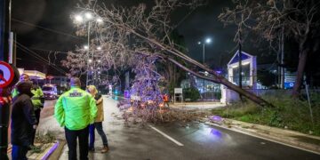 Διακοπή της κυκλοφορίας των οχημάτων στην οδό Πειραιώς λόγω πτωσης δέντρου.  Τετάρτη 1 Απριλίου 2026.  (Γιάννης Παναγόπουλος/EUROKINISSI)