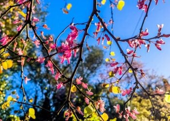 (Φωτ.: Γιώργος Κονταρίνης/EUROKINISSI)