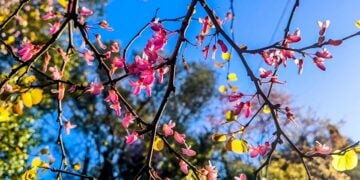 (Φωτ.: Γιώργος Κονταρίνης/EUROKINISSI)