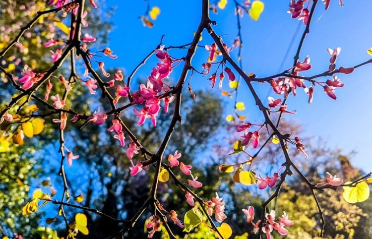 (Φωτ.: Γιώργος Κονταρίνης/EUROKINISSI)