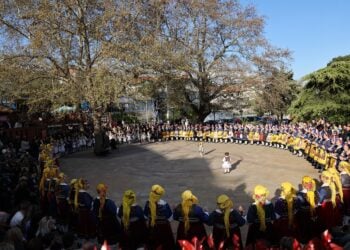 (Φωτ.: ΑΠΕ-ΜΠΕ/Δημοτική Κοινότητα Αιανής)