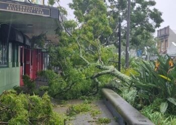 Πεσμένα δέντρα και ισχυροί άνεμοι προκάλεσαν προβλήματα σε ολόκληρο το Βόρειο Νησί, με τα συνεργεία έκτακτης ανάγκης να επεμβαίνουν και τους κατοίκους να καλούνται να παραμείνουν μακριά από τους δρόμους (φωτ.: RNZ/Robin Martin)