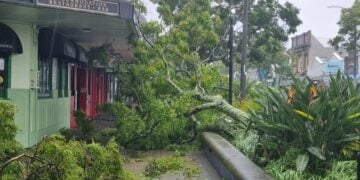 Πεσμένα δέντρα και ισχυροί άνεμοι προκάλεσαν προβλήματα σε ολόκληρο το Βόρειο Νησί, με τα συνεργεία έκτακτης ανάγκης να επεμβαίνουν και τους κατοίκους να καλούνται να παραμείνουν μακριά από τους δρόμους (φωτ.: RNZ/Robin Martin)