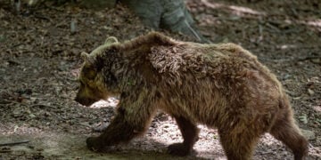 (Φωτ. αρχείου: EUROKINISSI / Ραφαήλ Γεωργιάδης)