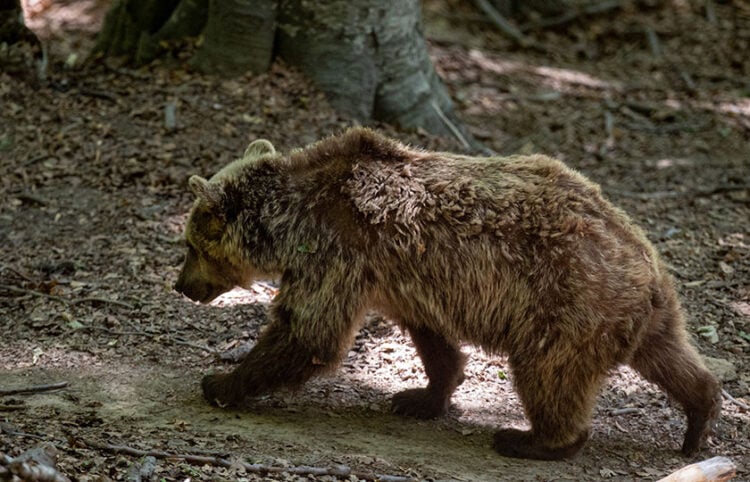 (Φωτ. αρχείου: EUROKINISSI / Ραφαήλ Γεωργιάδης)