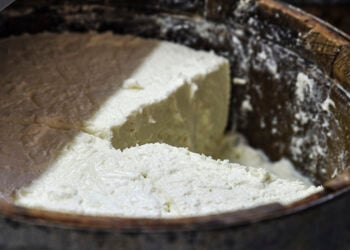 (Φωτ. αρχείου: EUROKINISSI / Ελένη Ρόκου)