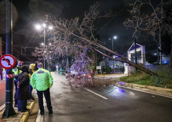 Διακοπή της κυκλοφορίας των οχημάτων στην οδό Πειραιώς λόγω πτώσης δέντρου.  Τετάρτη 1 Απριλίου 2026 (φωτ.: EUROKINISSI / Γιάννης Παναγόπουλος)