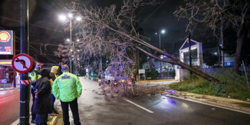 Διακοπή της κυκλοφορίας των οχημάτων στην οδό Πειραιώς λόγω πτώσης δέντρου.  Τετάρτη 1 Απριλίου 2026 (φωτ.: EUROKINISSI / Γιάννης Παναγόπουλος)