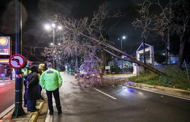Διακοπή της κυκλοφορίας των οχημάτων στην οδό Πειραιώς λόγω πτώσης δέντρου.  Τετάρτη 1 Απριλίου 2026 (φωτ.: EUROKINISSI / Γιάννης Παναγόπουλος)