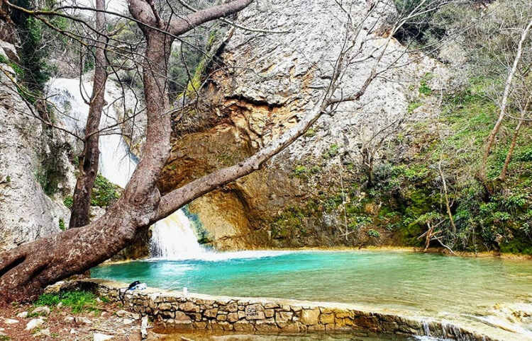 (Φωτ.: ΑΠΕ-ΜΠΕ / Βασίλης Λωλίδης)