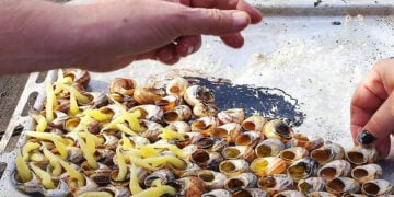 (Φωτ.: Πολιτιστικός Σύλλογος Βαρυπατάδων)