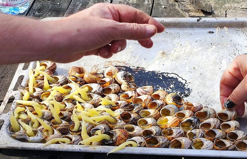 (Φωτ.: Πολιτιστικός Σύλλογος Βαρυπατάδων)