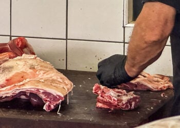 (Φωτ. αρχείου: EUROKINISSI / ΦΔήμητρα Κούτρα)