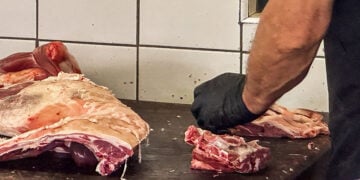 (Φωτ. αρχείου: EUROKINISSI / ΦΔήμητρα Κούτρα)