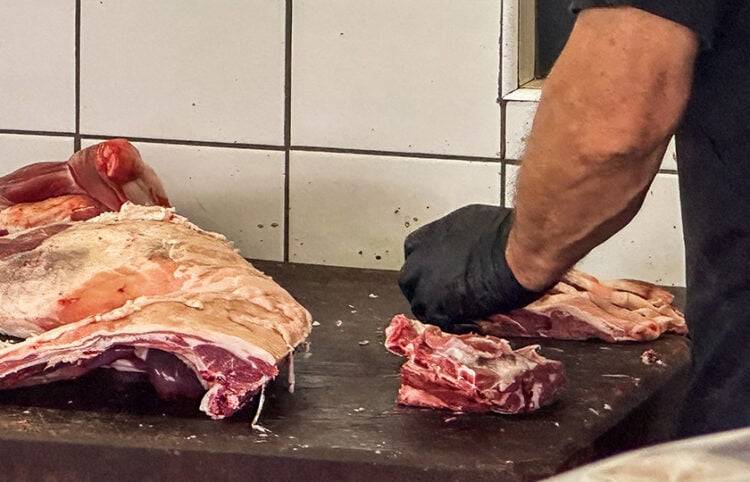 (Φωτ. αρχείου: EUROKINISSI / ΦΔήμητρα Κούτρα)