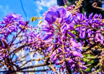 (Φωτ.: EUROKINISSI / Γιώργος Κονταρίνης)