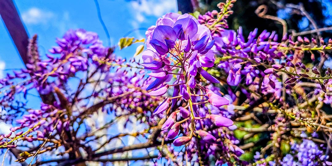 (Φωτ.: EUROKINISSI / Γιώργος Κονταρίνης)