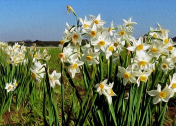 (Φωτ.: commons.wikimedia.org. Εικ.: ΧΚ)