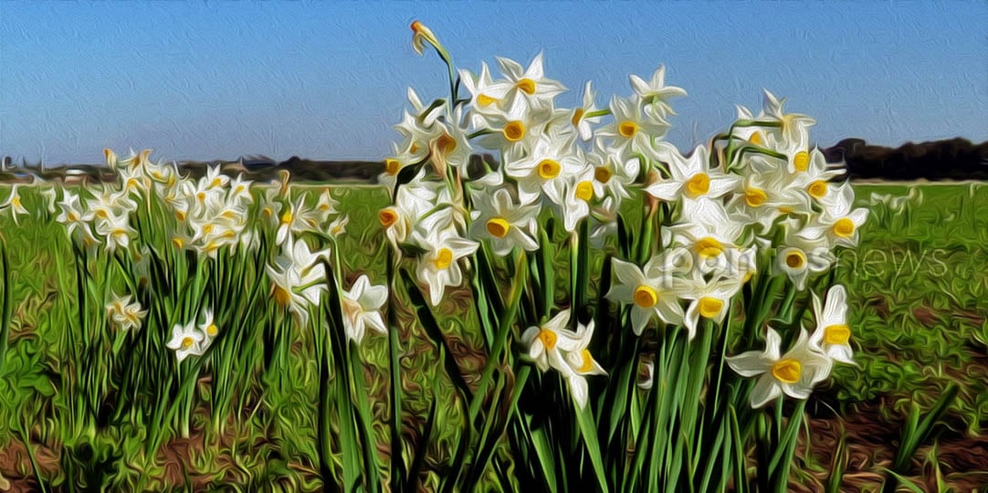 (Φωτ.: commons.wikimedia.org. Εικ.: ΧΚ)