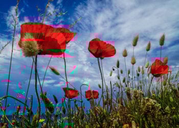 (Φωτ.: EUROKINISSI / Γιώργος Κονταρίνης)