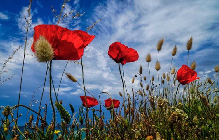 (Φωτ.: EUROKINISSI / Γιώργος Κονταρίνης)